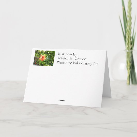 ちょうど桃色 カード (裏面)