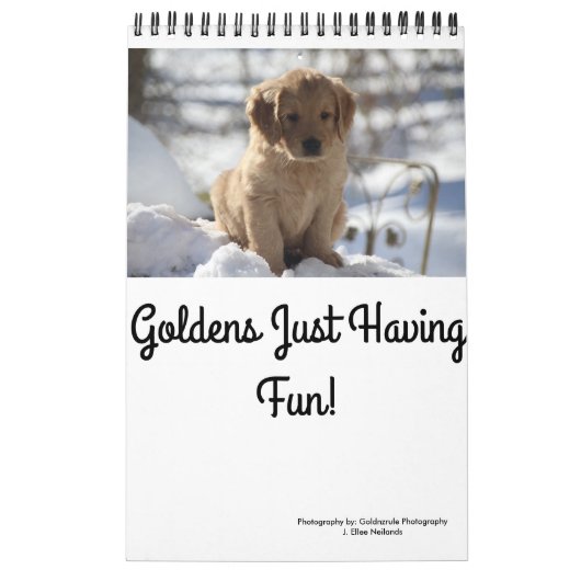 ちょうど楽しい時を過すGoldens カレンダー (カバー)