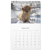 ちょうど楽しい時を過すGoldens カレンダー (1月 2027)