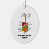 ちょうど示します私の内臓(消化系のユーモア)を セラミックオーナメント (右)