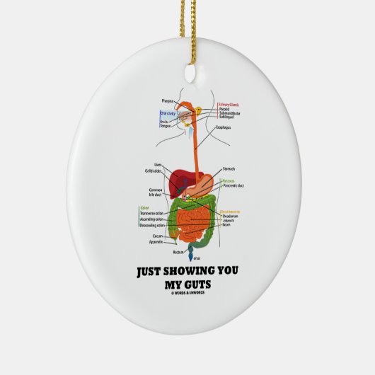 ちょうど示します私の内臓(消化系のユーモア)を セラミックオーナメント (右)