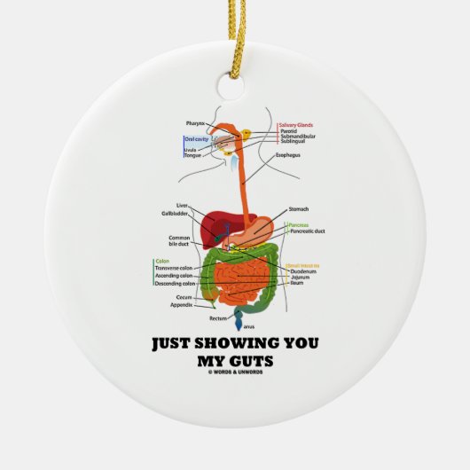 ちょうど示します私の内臓(消化系のユーモア)を セラミックオーナメント (正面)
