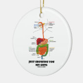 ちょうど示します私の内臓(消化系のユーモア)を セラミックオーナメント (左)