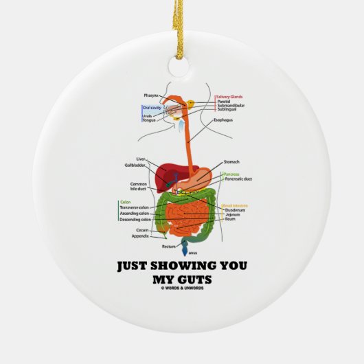 ちょうど示します私の内臓(消化系のユーモア)を セラミックオーナメント (裏面)