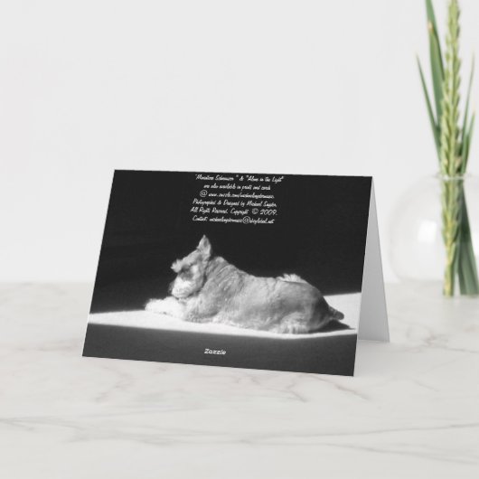 ちょうど私を言いますこんにちは考えました カード (裏面)