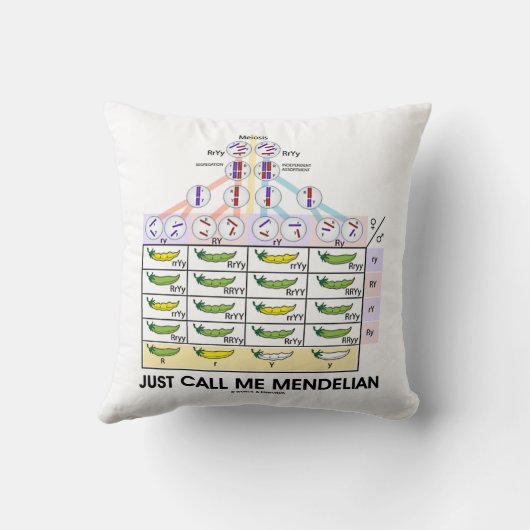 ちょうど私をMendelian電話して下さい(Punnettの正方形の遺伝学) クッション (裏面)