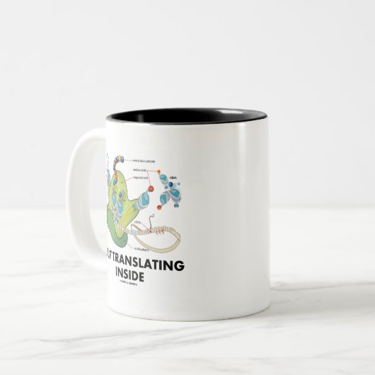 ちょうど翻訳します内部(蛋白質の統合)を ツートーンマグカップ (正面左)