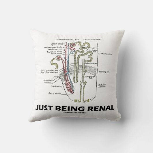 ちょうど腎臓です(腎臓のNephronの腎臓のユーモア) クッション (裏面)