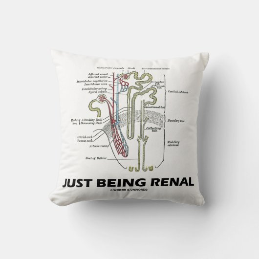 ちょうど腎臓です(腎臓のNephronの腎臓のユーモア) クッション (正面)