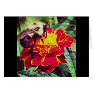 ちょうど蜂原因!