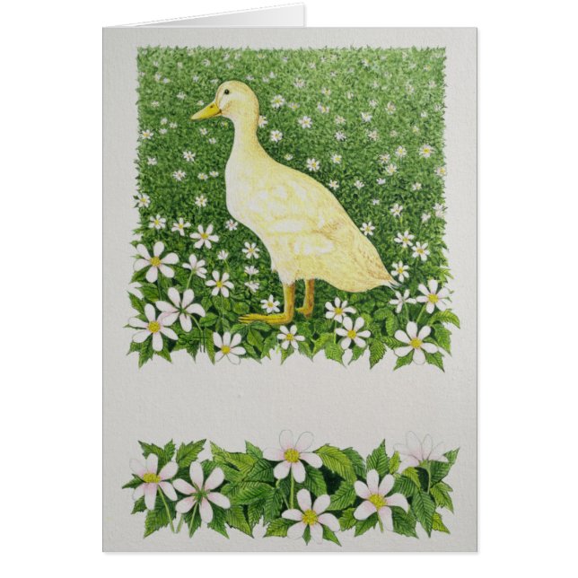 ちょうど見ます (正面)