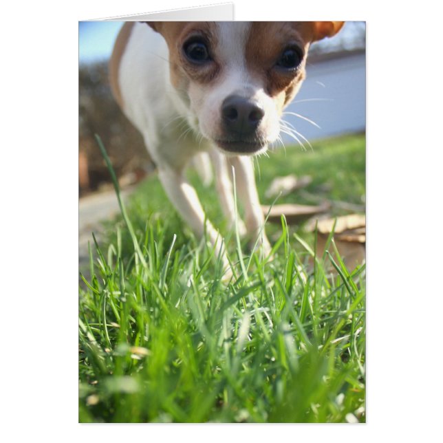 ちょうど言うためにこんにちはチェックインします! (正面)