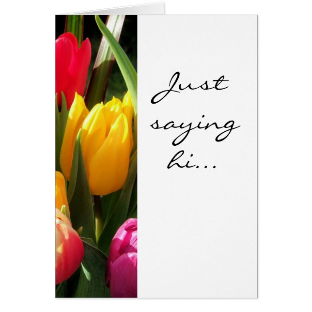 ちょうど言っているチューリップ、こんにちは… (正面)