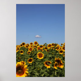 ちょうど通り過ぎる ポスター