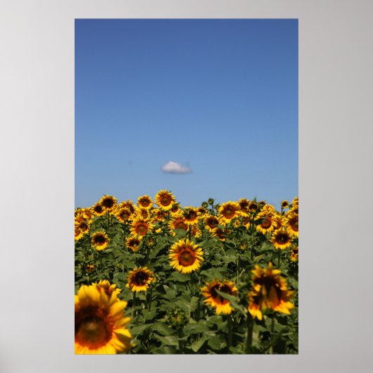 ちょうど通り過ぎる ポスター (正面)