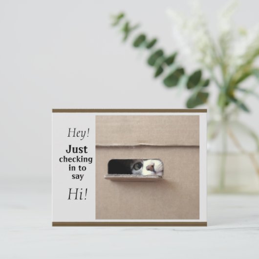 ちょうど郵便はがきを点検すること ポストカード (スタンド正面)