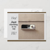 ちょうど郵便はがきを点検すること ポストカード (正面/裏面)