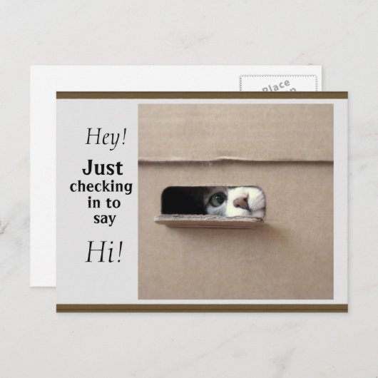 ちょうど郵便はがきを点検すること ポストカード (正面/裏面)