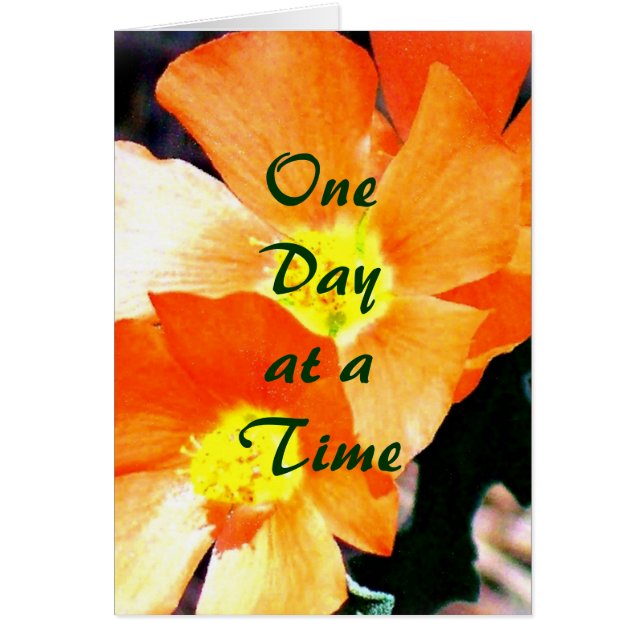 "ちょうど雑草" ODAT (正面)