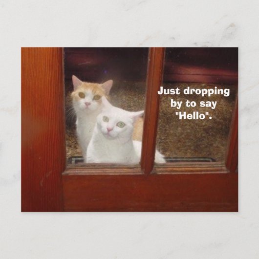 ちょうど～によって落下する ポストカード (正面)