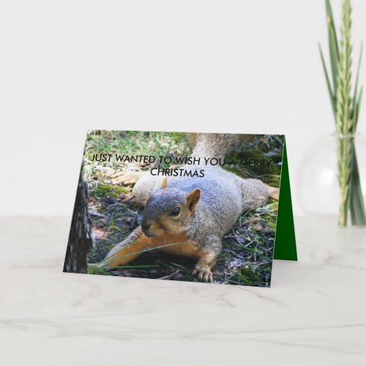 ちょうど…メリーなクリスを望みたいと思いました シーズンカード (正面)