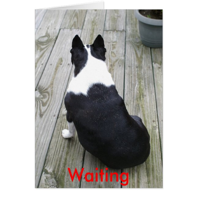 ちょうど…待ち、待っています (正面)