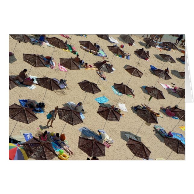 ちょうどBeachy! (正面横)