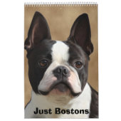 ちょうどBostons カレンダー (カバー)