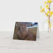 ちょうどChillinのメッセージカード カード (黄色い花)