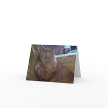 ちょうどChillinのメッセージカード