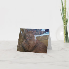 ちょうどChillinのメッセージカード カード