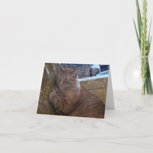 ちょうどChillinのメッセージカード カード (正面)