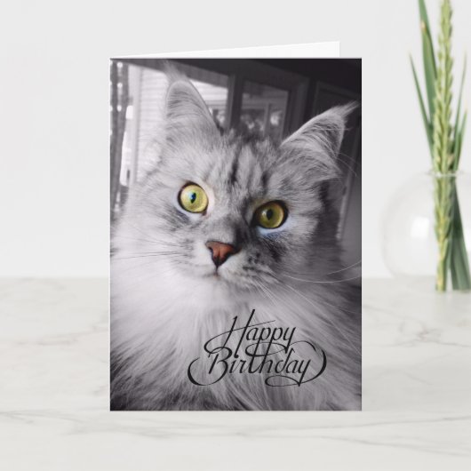 ちょっとした魔法誕生日カード カード (正面)