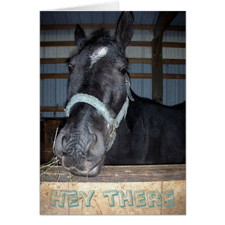 ちょっとそこに梳いて下さい