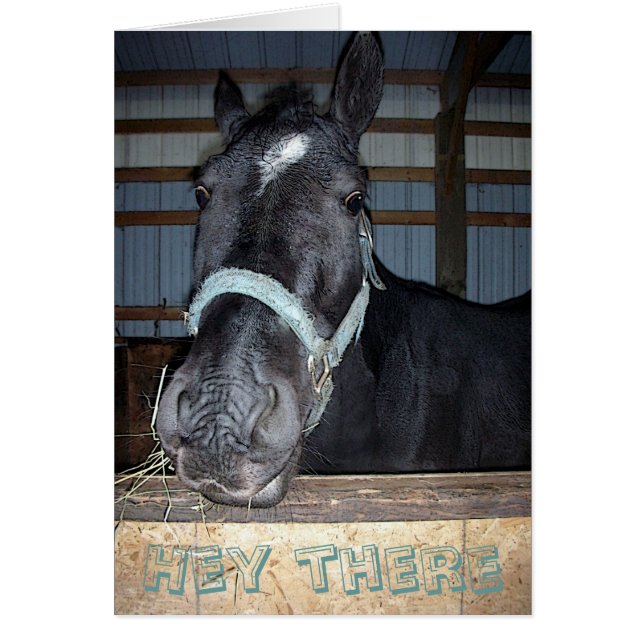 ちょっとそこに梳いて下さい (正面)