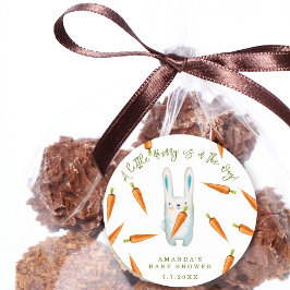 ちょっとバニーが行く!赤ちゃんシャワー ラウンドシール