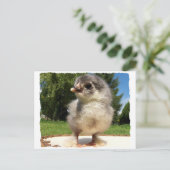 ちょっとフワフワした女 ポストカード (スタンド正面)