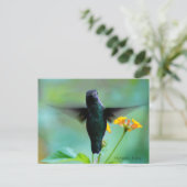 ちょっと待ってハイハイ！ ポストカード (スタンド正面)