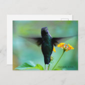 ちょっと待ってハイハイ！ ポストカード (正面/裏面)