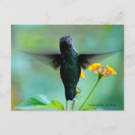 ちょっと待ってハイハイ！ ポストカード