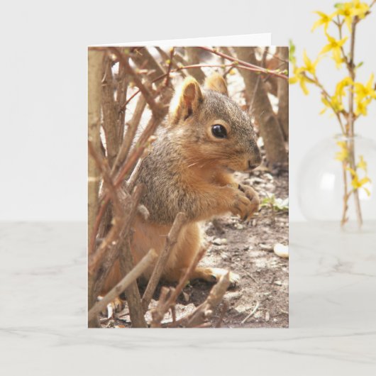 ちょっと挨拶 カード (黄色い花)