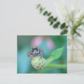 ちょっと混乱した？ ポストカード (スタンド正面)