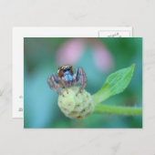 ちょっと混乱した？ ポストカード (正面/裏面)