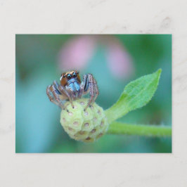 ちょっと混乱した？ ポストカード