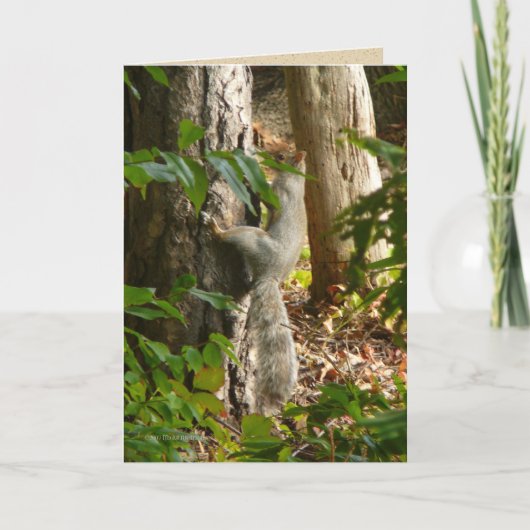 ちょっと私はHydinです カード (正面)