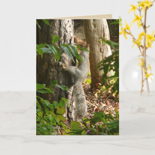 ちょっと私はHydinです カード (黄色い花)