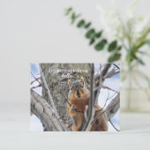 ちょっと立ち寄って挨拶をする シーズンポストカード (スタンド正面)