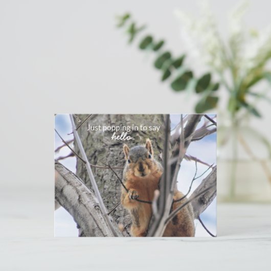 ちょっと立ち寄って挨拶をする シーズンポストカード (スタンド正面)