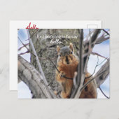 ちょっと立ち寄って挨拶をする シーズンポストカード (正面/裏面)