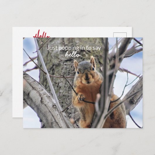 ちょっと立ち寄って挨拶をする シーズンポストカード (正面/裏面)